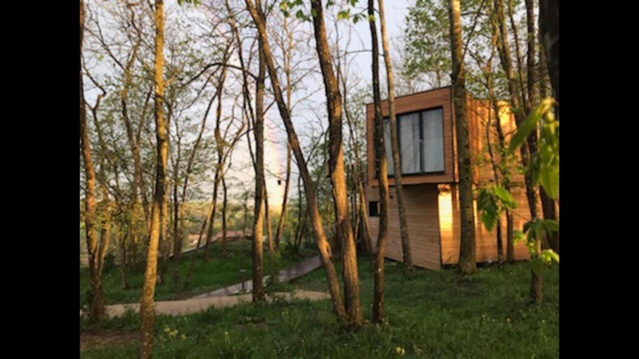 Les Cocons De L'Illon Bed and Breakfast Ville-sur-Illon Εξωτερικό φωτογραφία